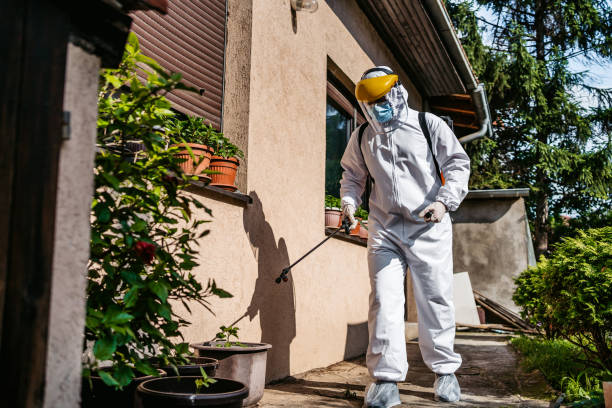 Best Pest Removal Services  in Madison, MS