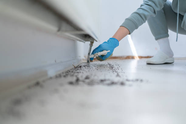 Best Residential Pest Control  in Madison, MS